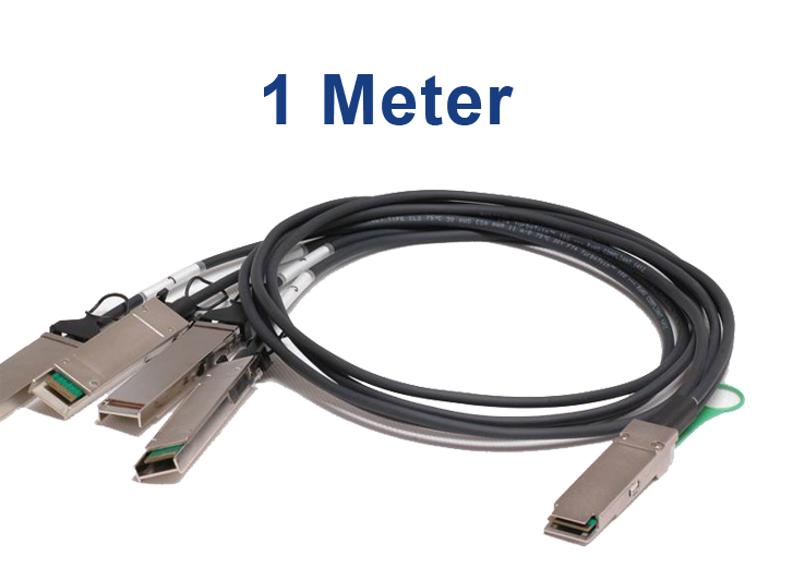 CAB-QSFP/4XFP-P1M